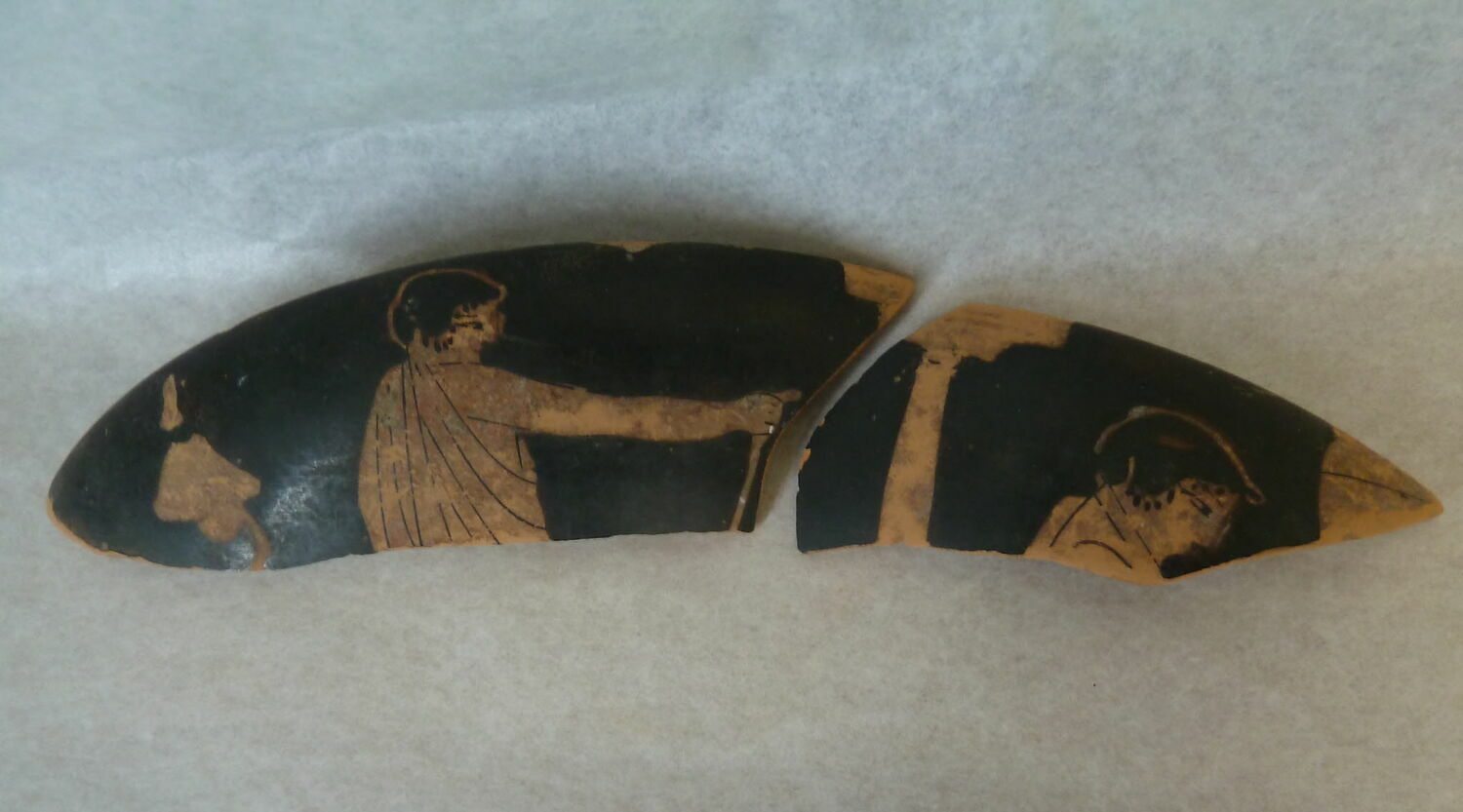 coupe ; fragment