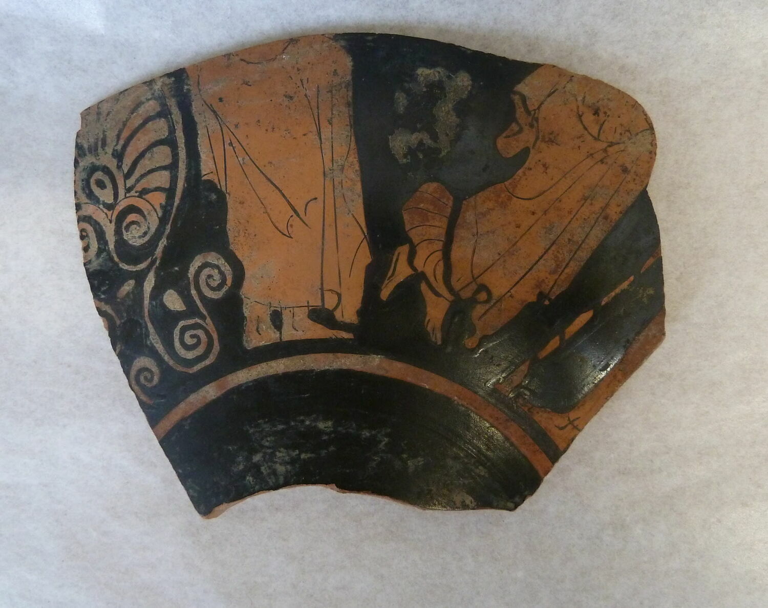 coupe ; fragment
