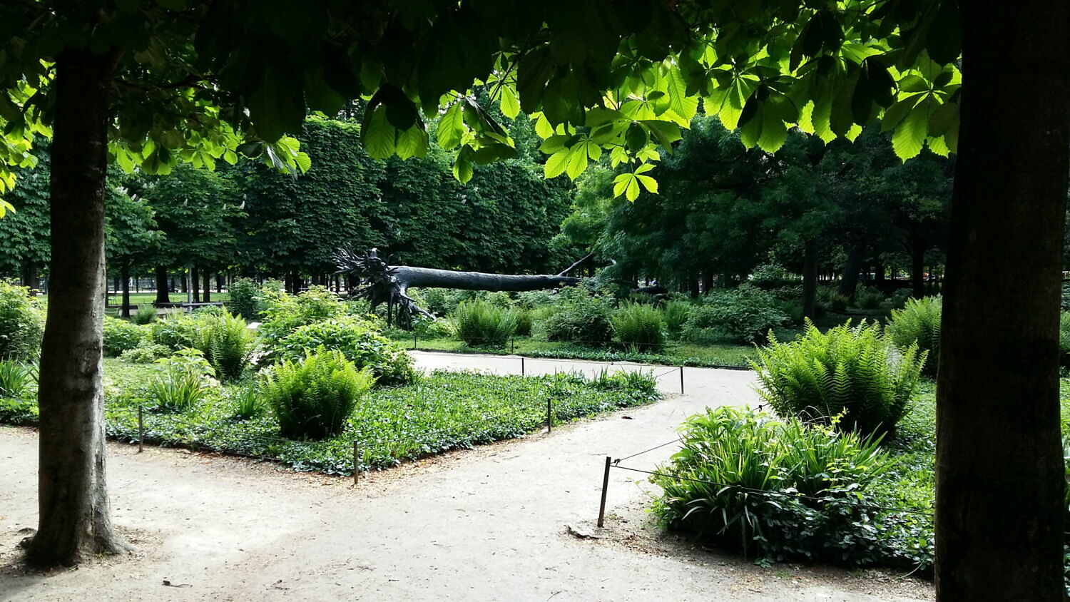 Arbre des voyelles (L'), Penone, Giuseppe, 1999 - 2000