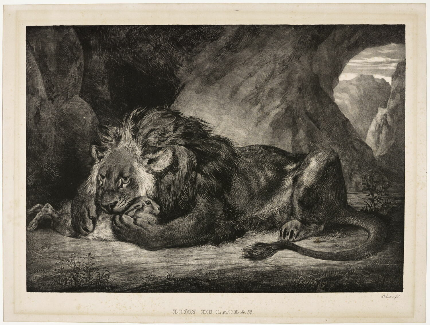 Lion de l'Atlas (2e état), Delacroix, Eugène, 1829