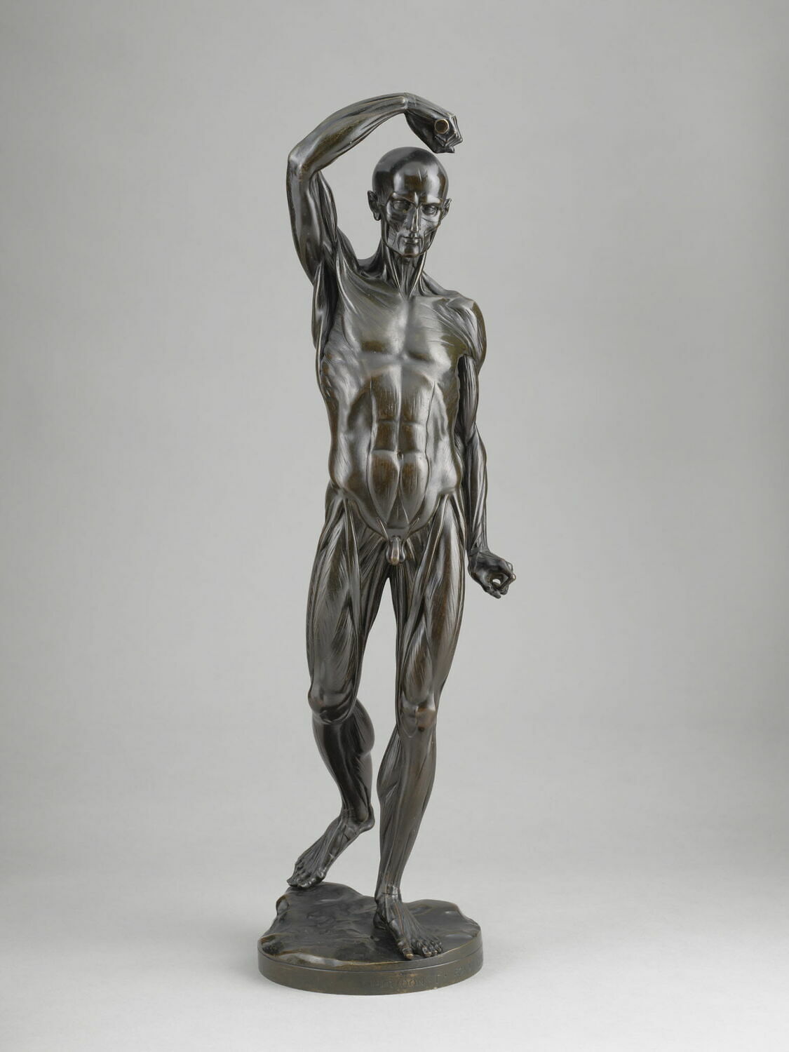 Homme écorché debout, le bras droit élevé, Houdon, Jean Antoine, 1776