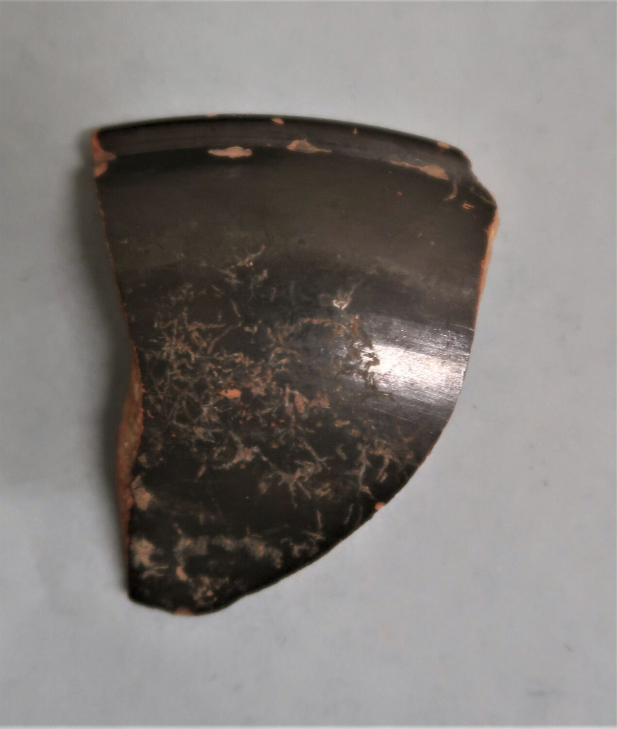 plat