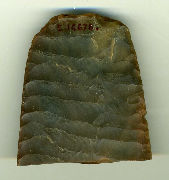 couteau ripple flake - Louvre site des collections