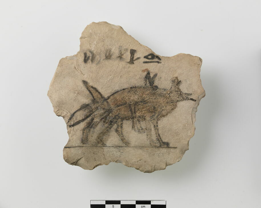 Ostracon with two foxes mating