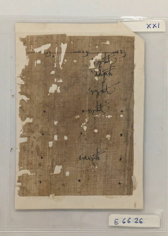 Papyrus grecs de l'Institut Français d'Archéologie Orientale. Tome II. BiEtud 55.