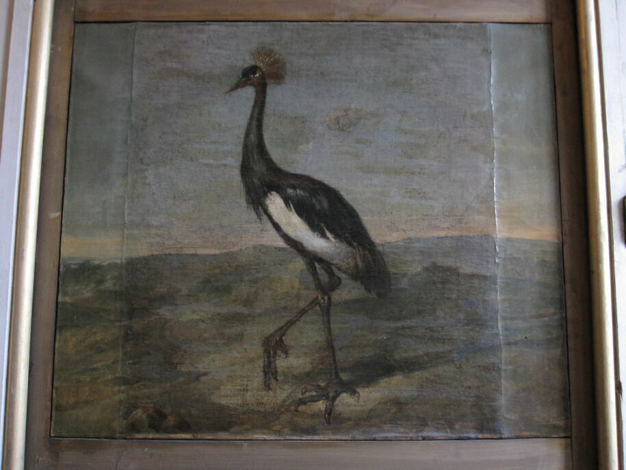 Oiseau étranger (échassier) blanc et noir, à aigrette. Étude Louvre — free download