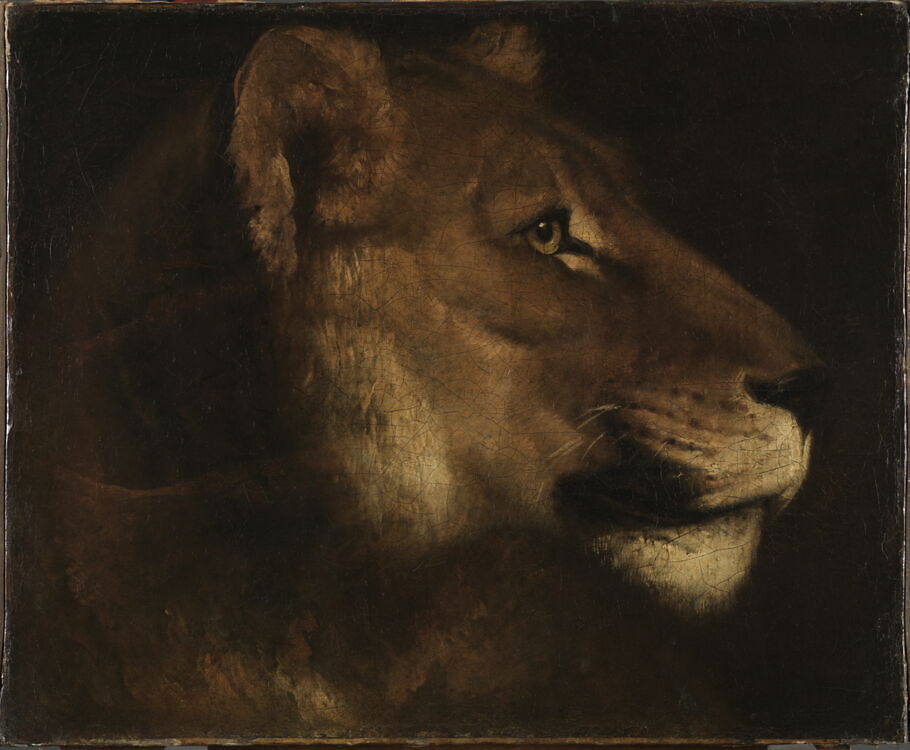 Head of a lion