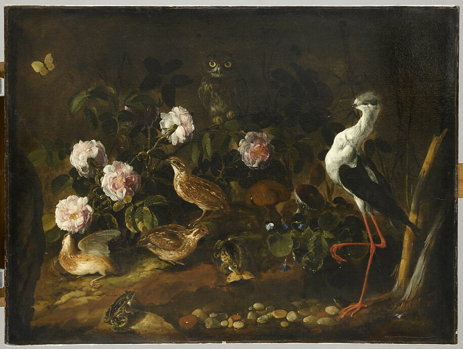 Nature morte avec des cailles, un hibou et une échasse blanche - Louvre