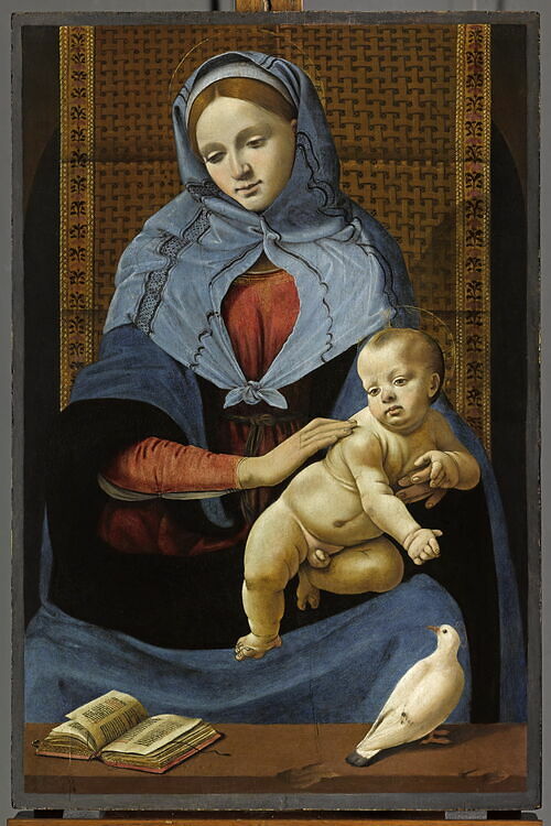 Madonna and Child with a Dove - Piero di Cosimo - Louvre INV 817