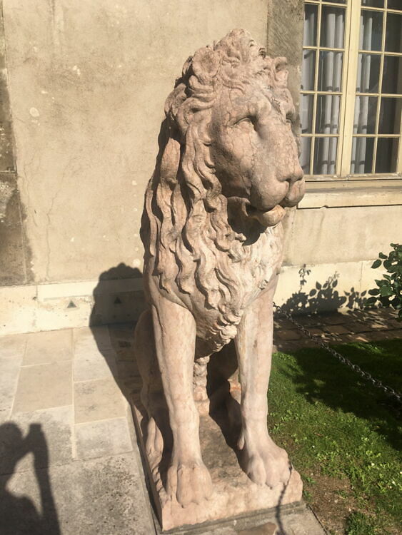 Lion Louvre Collections