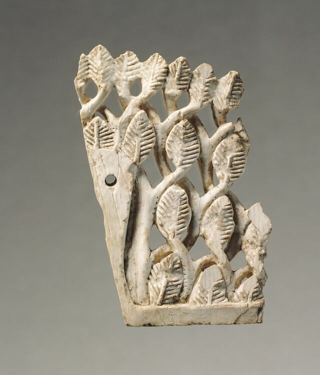 Plaque fragment: leaf wall with detailed veins