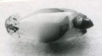 perle ; figurine, image 3/3