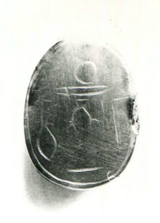 scarabée