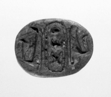 scarabée, image 1/4