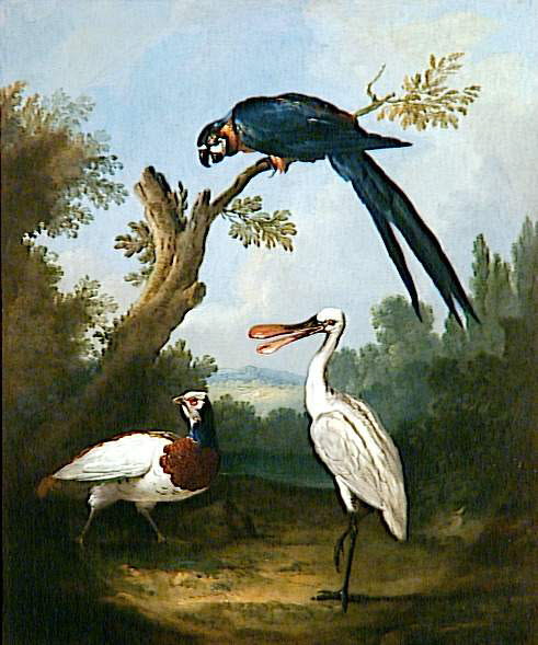 Perroquet, faisan blanc et spatule, Oudry, Jean-Baptiste, XVIIe siècle (1600 - 1700)