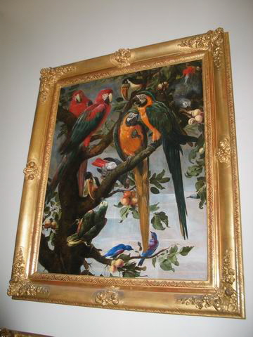 Perroquets et autres oiseaux, Snyders, Frans, XVIIe siècle (1600 - 1700)