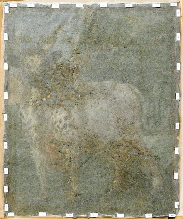 "Boeuf sauvage", Bernaerts, Nicasius