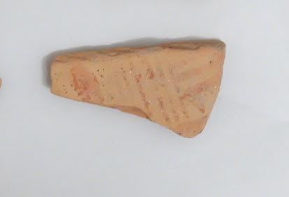 amphore