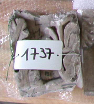 relief ; Tirage d’un relief représentant le départ d'une feuille d'acanthe et une palmette