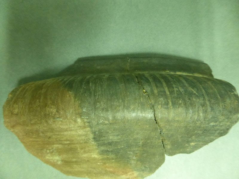 vase ; fragment