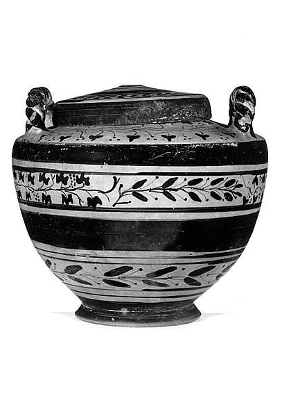 pyxis