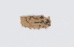 papyrus, image 2/2