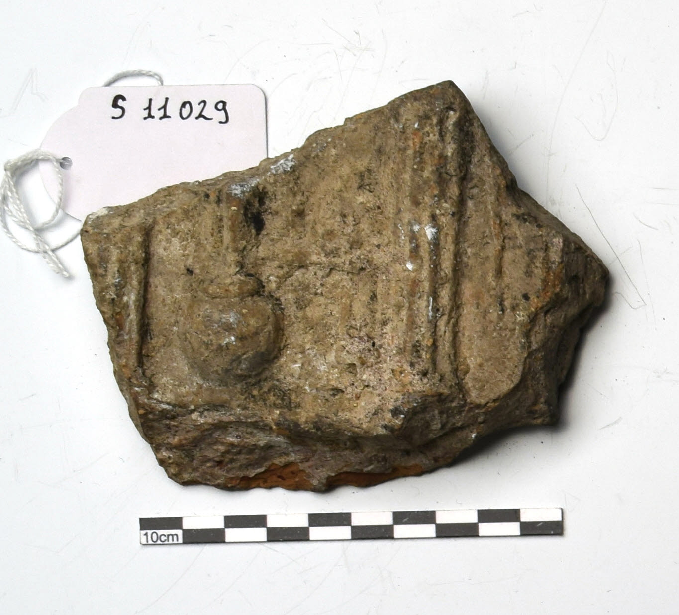 plaque Campana
