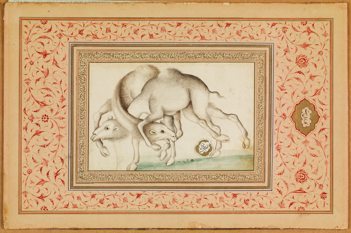 Combat de dromadaires, Muhammad Hasan Afshar, 2ème quart du XIXe siècle (vers 1840)