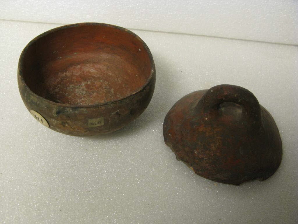 pyxis