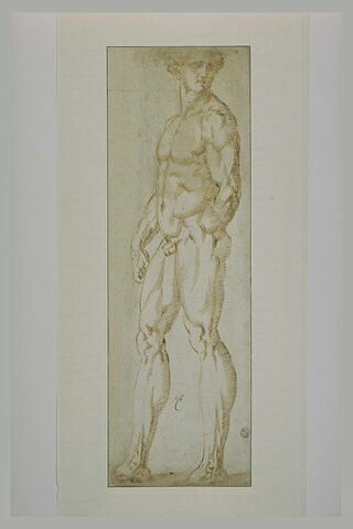 Homme nu debout, de profil, le bras gauche derrière le dos, image 2/2
