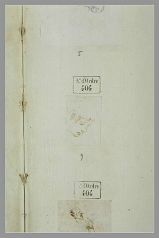 Tête de jeune homme penchée en avant, image 1/1
