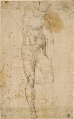 Etude d'homme nu, debout, image 3/3