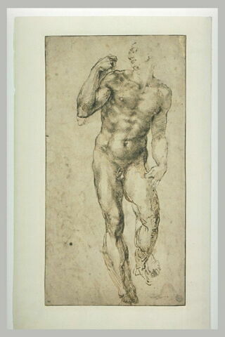 Homme nu, debout, image 2/2