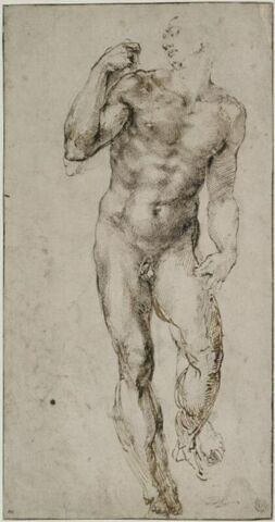 Homme nu, debout, image 3/3