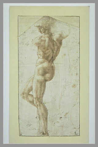 Etude d'homme nu, debout, de profil à gauche, image 1/1