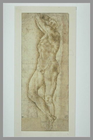 Etude d'homme nu, les bras levés