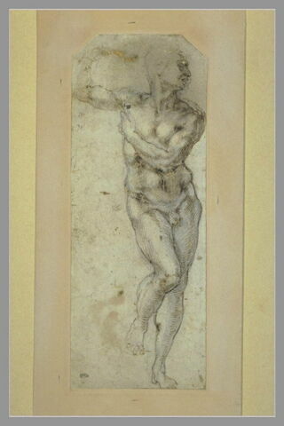 Homme nu, debout, la tête de profil vers la droite, image 2/2