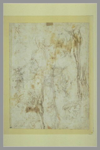 Homme nu, de dos, études de jambes, d'une tête casquée, et de casques, image 2/2