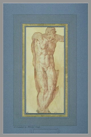 Homme nu, de face, image 2/2