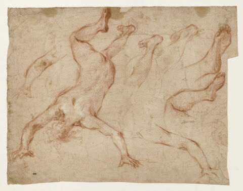Figure nue vue de dos, précipitant ; détails de bras, de jambes et de mains, image 3/3