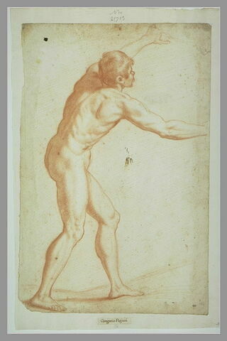 Homme nu, debout, vu par le dos les bras ouverts et levés, image 1/1