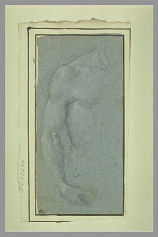 Bras et épaule droite d'une demi-figure d'homme nu, image 1/1