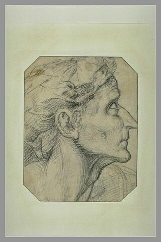 Tête de vieille femme, vue de profil, tournée vers la gauche, image 2/2