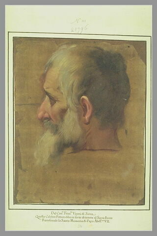Tête d'homme barbu, de profil à gauche, image 2/2