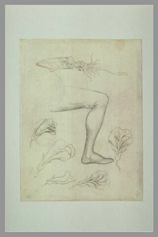 Un poulpe ; une jambe ; des fleurs ; une Vierge à l'Enfant, image 2/2