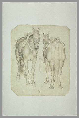 Deux chevaux harnachés, vu de trois quarts, l'un de face et l'autre de dos, image 1/1