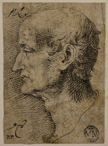 Tête de vieillard, de profil, tournée vers la gauche, image 1/2