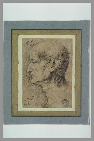 Tête de vieillard, de profil, tournée vers la gauche, image 2/2