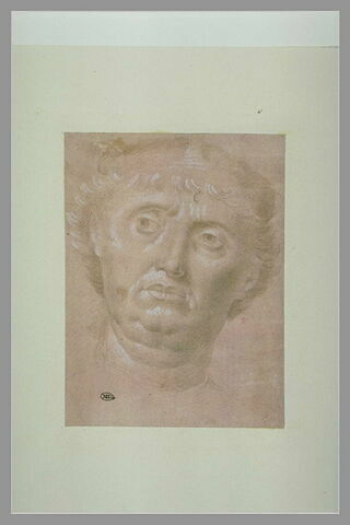 Tête d'homme, vue de face, les yeux tournés vers la gauche, image 2/2