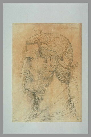 Tête d'empereur Romain couronnée de laurier, de profil